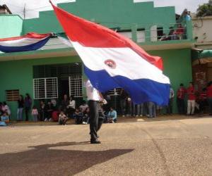 yapboz Paraguay Bayrağı
